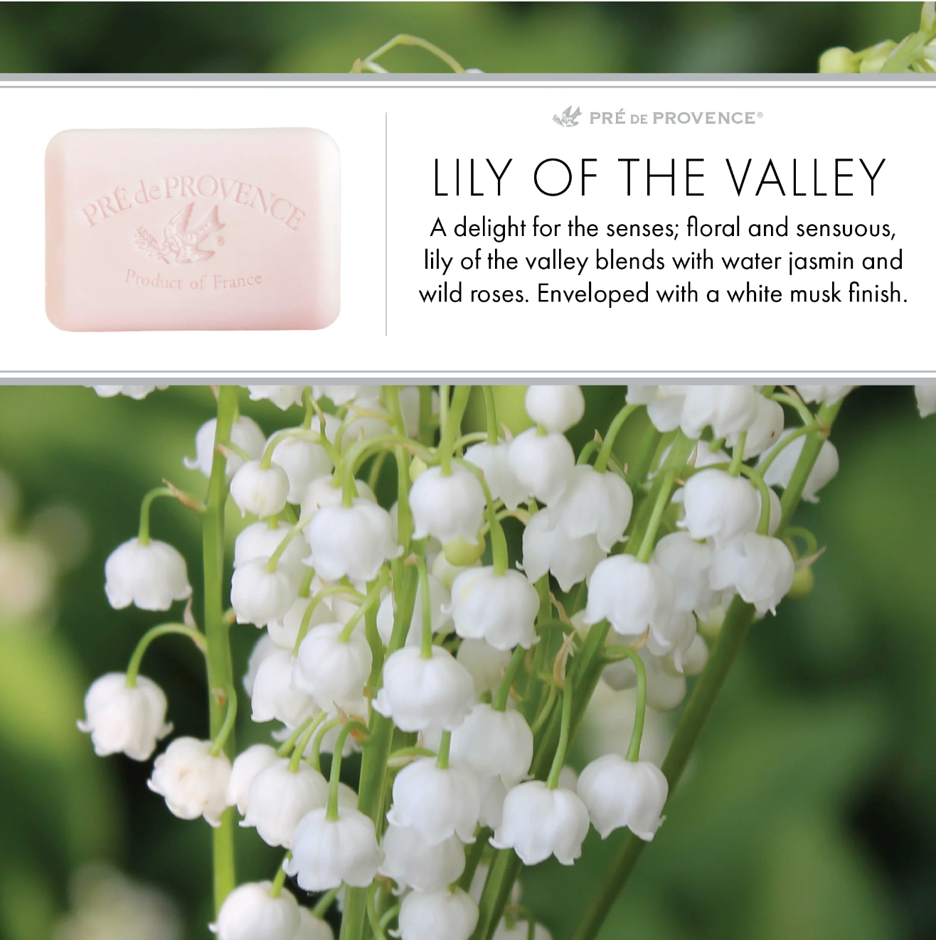 Pré de Provence Soaps