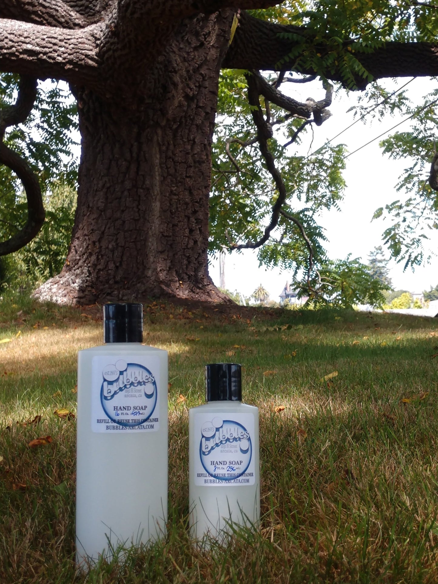 Sulfate Free Hand Soap